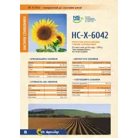 Семена подсолнечника НС-Х-6042